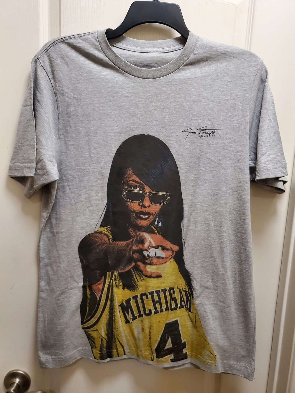 Aaliyah In A Michigan Jersey Graphic Tee - NWOT / Large